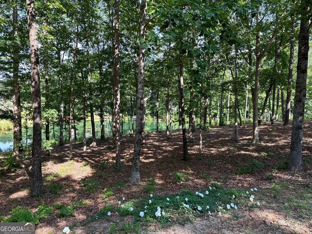 1117 Rome Beauty, Clarkesville, GA 30523
