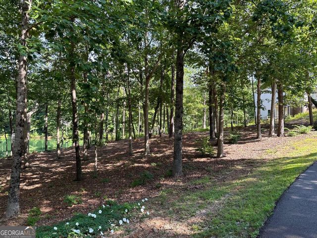 1117 Rome Beauty, Clarkesville, GA 30523