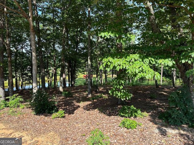 1117 Rome Beauty, Clarkesville, GA 30523