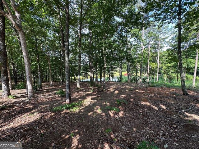 1117 Rome Beauty, Clarkesville, GA 30523