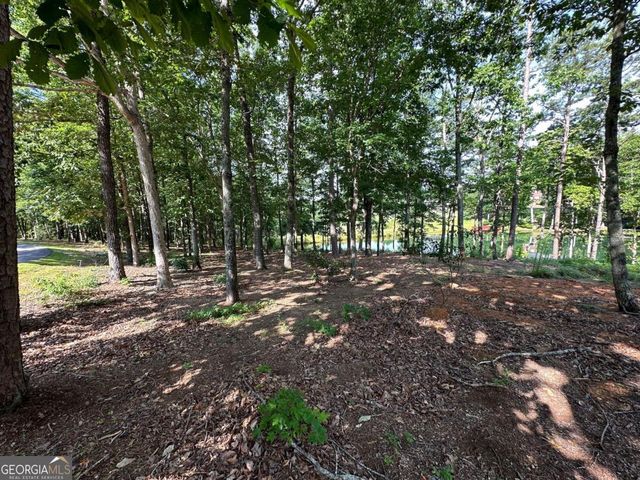 1117 Rome Beauty, Clarkesville, GA 30523