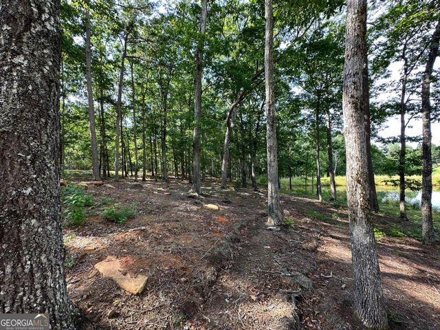 1117 Rome Beauty, Clarkesville, GA 30523