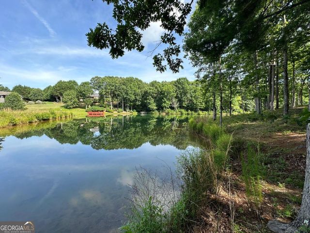 1117 Rome Beauty, Clarkesville, GA 30523