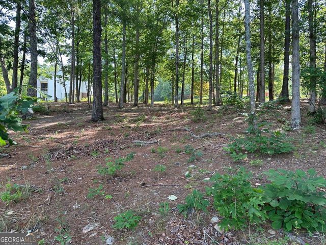 1117 Rome Beauty, Clarkesville, GA 30523