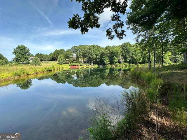 1117 Rome Beauty, Clarkesville, GA 30523
