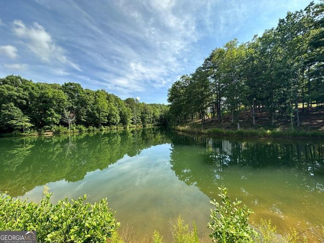 1117 Rome Beauty, Clarkesville, GA 30523