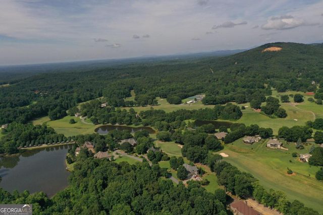 1117 Rome Beauty, Clarkesville, GA 30523
