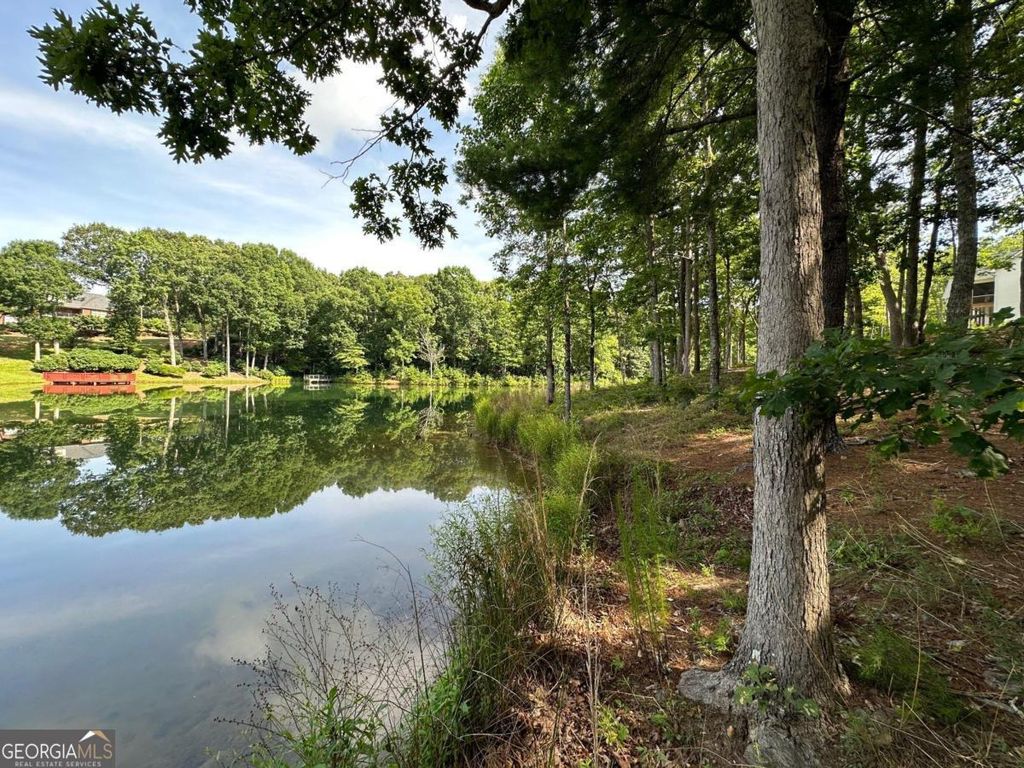1117 Rome Beauty, Clarkesville, GA 30523