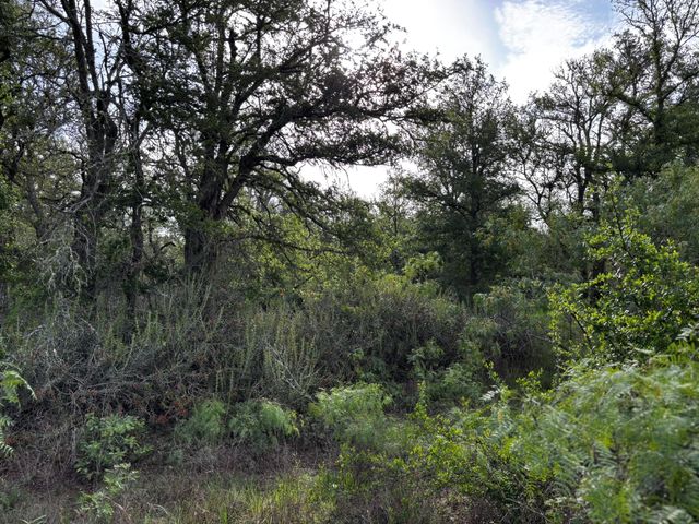 683 County Road 467, Thrall, TX 76578