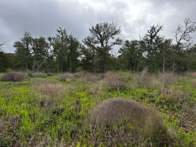 683 County Road 467, Thrall, TX 76578