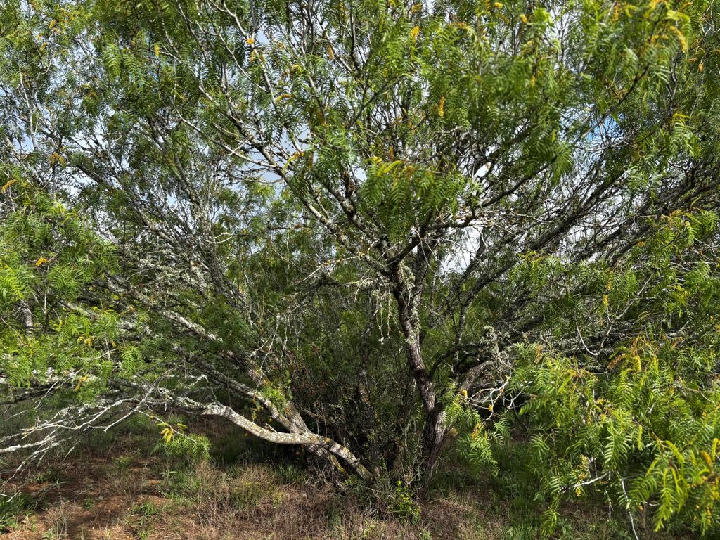 683 County Road 467, Thrall, TX 76578