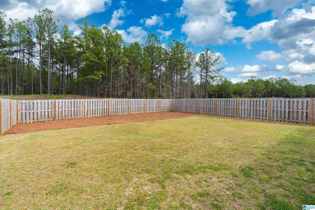 9990 CHELSEA PARK TRAIL, Chelsea, AL 35043