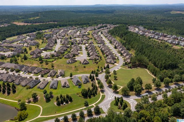 9990 CHELSEA PARK TRAIL, Chelsea, AL 35043