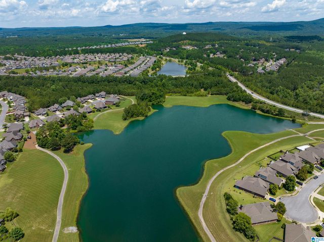 9990 CHELSEA PARK TRAIL, Chelsea, AL 35043