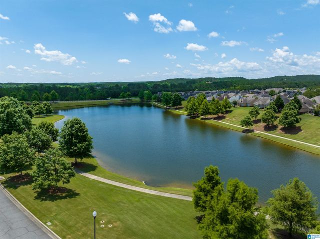 9990 CHELSEA PARK TRAIL, Chelsea, AL 35043