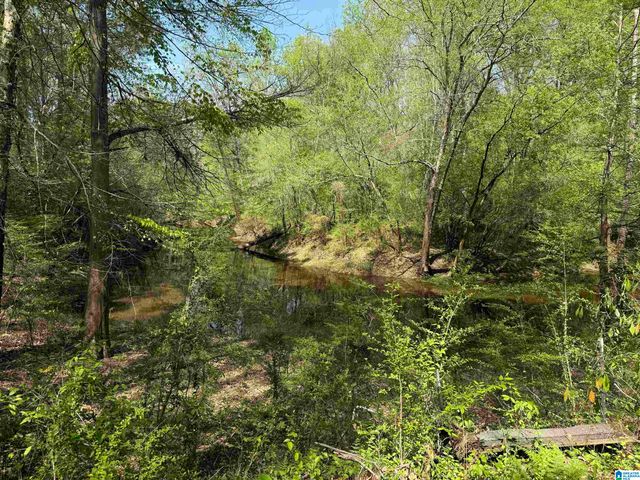 1781 RIVERVIEW BEACH ROAD, Moundville, AL 35474
