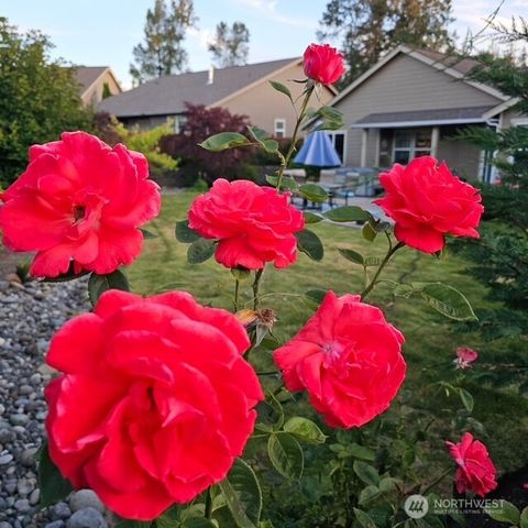 506 Timberland Loop, Mount Vernon, WA 98273