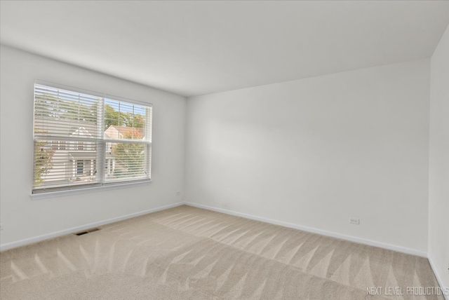 5734 OAK RIDGE Way -45, Lisle, IL 60532