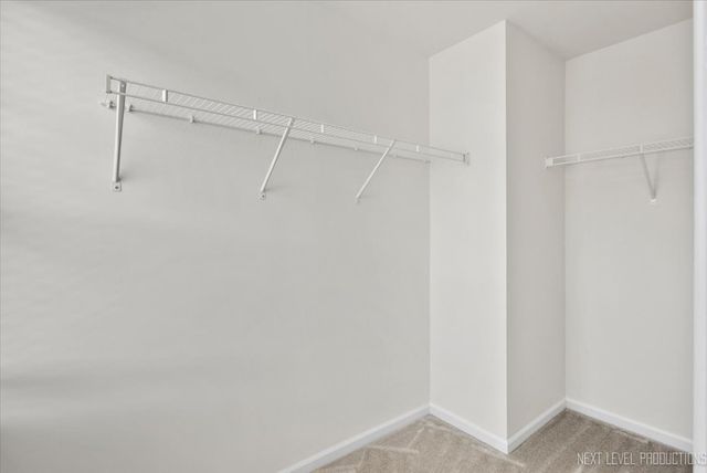 5734 OAK RIDGE Way -45, Lisle, IL 60532