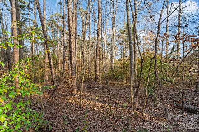 0000 Sandy Ford Road, Mount Holly, NC 28120