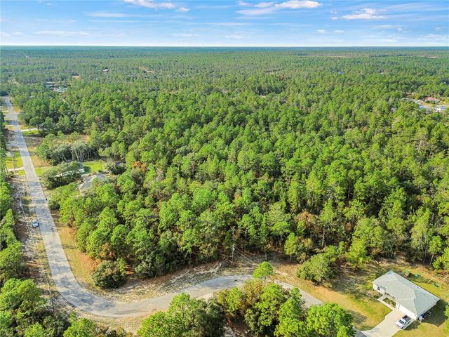 3873 W FINDLAY STREET, Citrus Springs, FL 34433