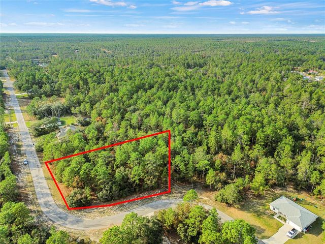 3873 W FINDLAY STREET, Citrus Springs, FL 34433