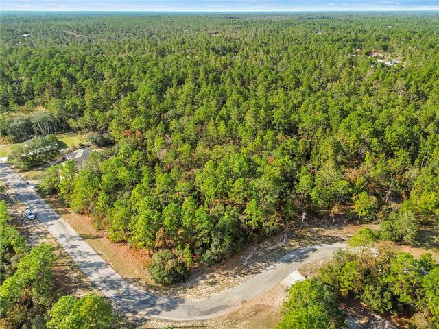 3873 W FINDLAY STREET, Citrus Springs, FL 34433