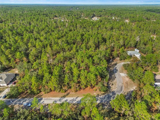 3873 W FINDLAY STREET, Citrus Springs, FL 34433