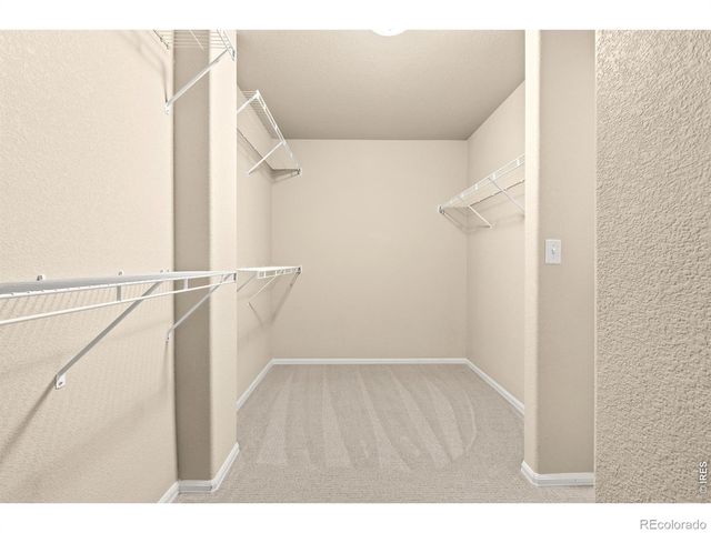 2134 Day Spring Drive, Windsor, CO 80550