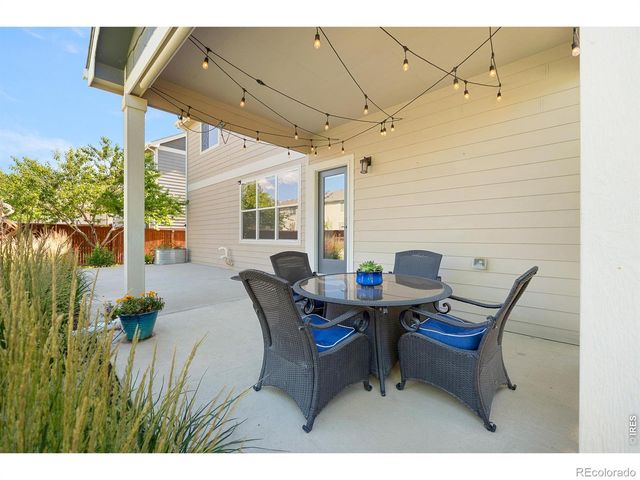 2134 Day Spring Drive, Windsor, CO 80550