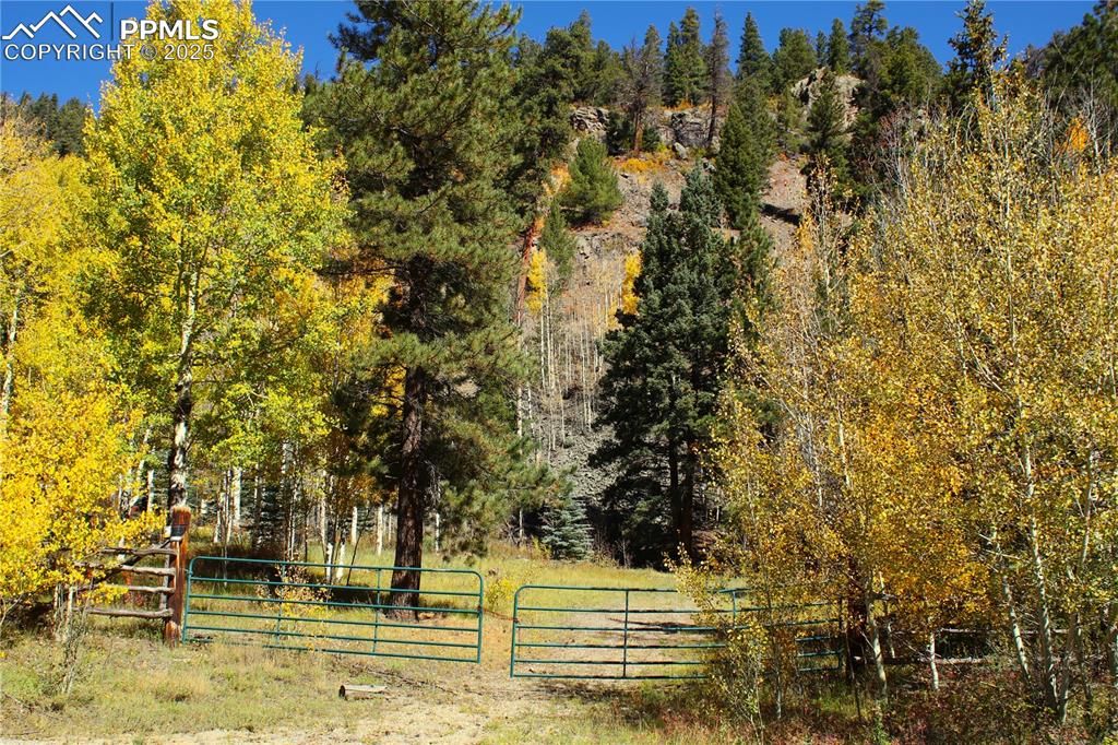 38938 Nf-250 Road, Antonito, CO 81120 — photo 3