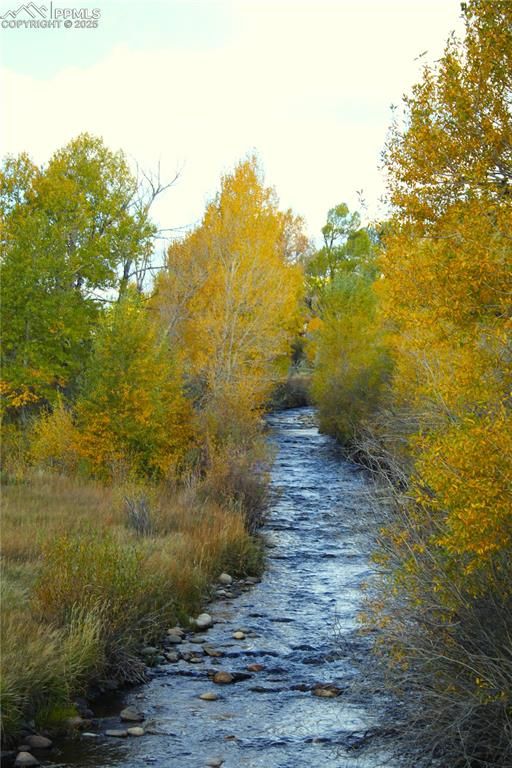 38938 Nf-250 Road, Antonito, CO 81120 — photo 4