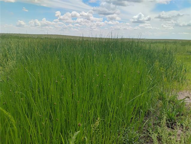 Parcel 7 S Peyton Highway, Colorado Springs, CO 80928