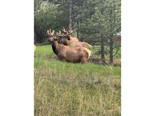 270 Choctaw Rd, Lyons, CO 80540