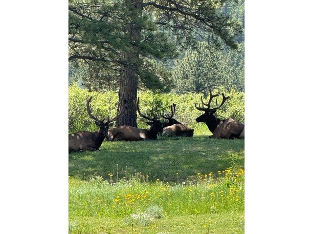 270 Choctaw Rd, Lyons, CO 80540
