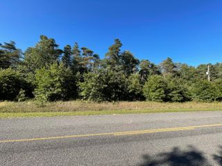 W Baseline Road, Mears, MI 49436