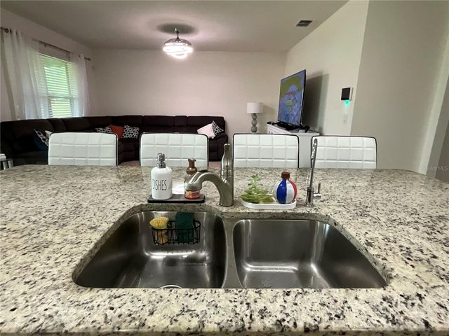 33525 ALWAYS DREAMING COURT, Sorrento, FL 32776