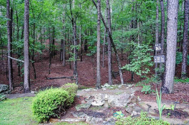 48 Almeria Way, Hot Springs Village, AR 71909