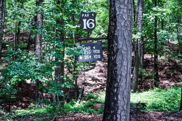 48 Almeria Way, Hot Springs Village, AR 71909