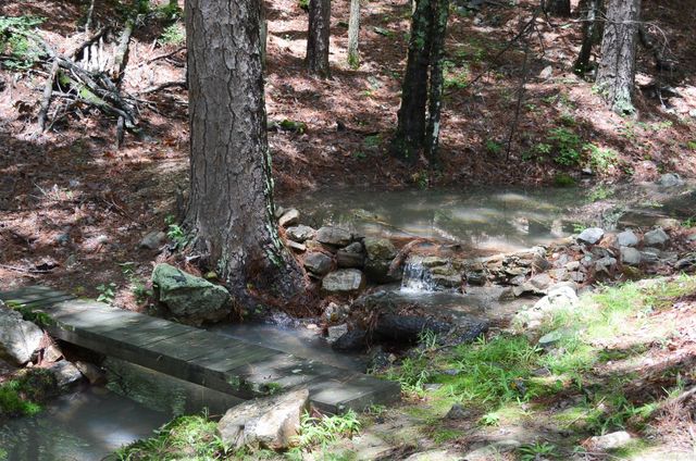 48 Almeria Way, Hot Springs Village, AR 71909