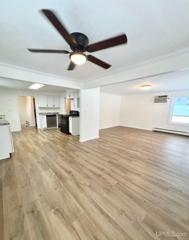 1328 6th Avenue, Norway, MI 49870