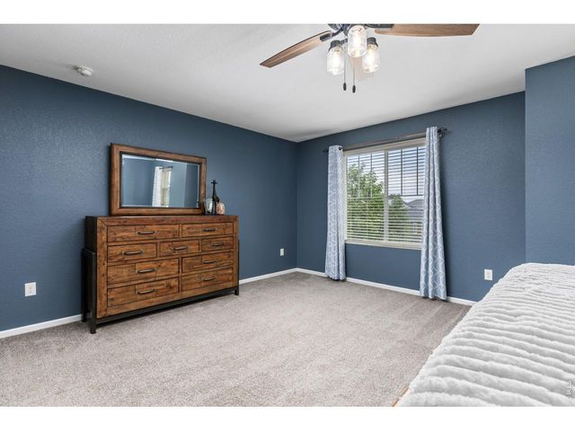 1532 Sorenson Dr, Windsor, CO 80550