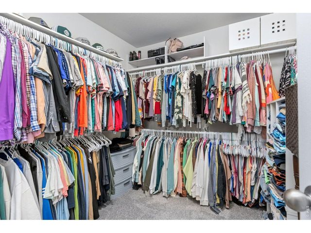1532 Sorenson Dr, Windsor, CO 80550