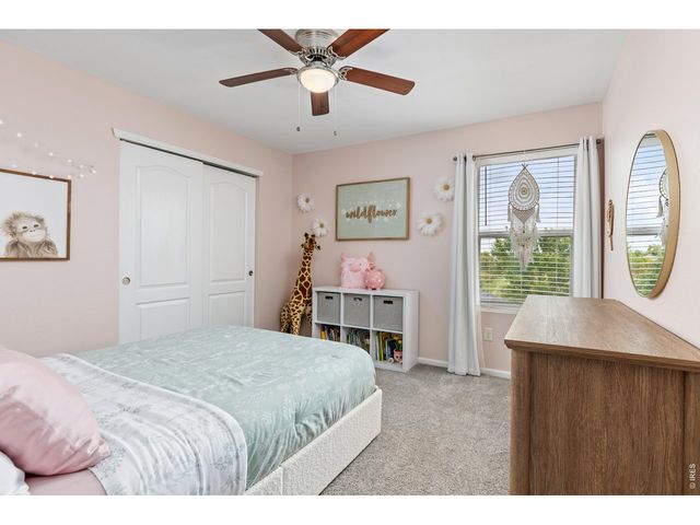 1532 Sorenson Dr, Windsor, CO 80550