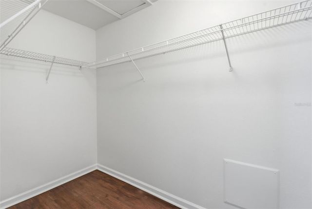 10523 EGRET HAVEN LANE, Riverview, FL 33578