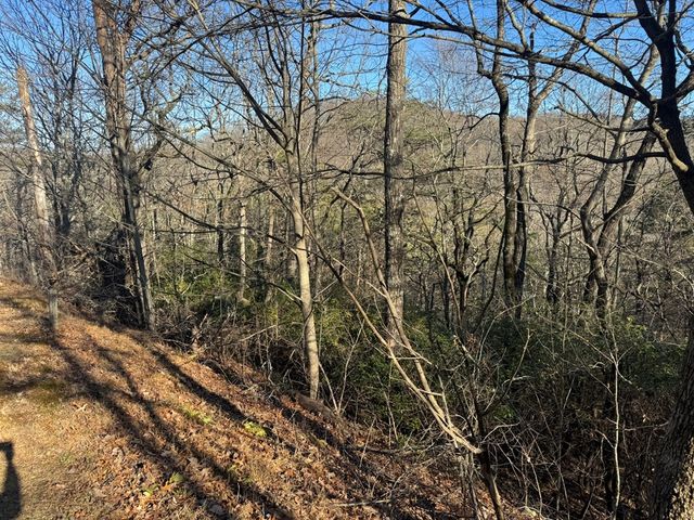 Lot 228 Andes Ridge, Ellijay, GA 30540