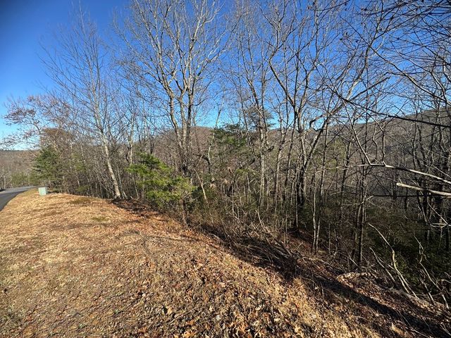 Lot 228 Andes Ridge, Ellijay, GA 30540