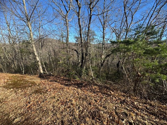 Lot 228 Andes Ridge, Ellijay, GA 30540