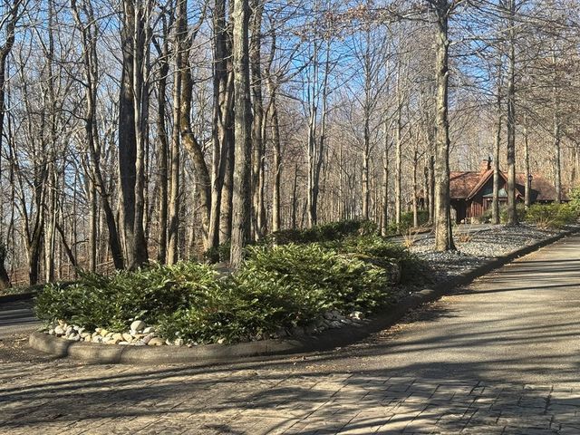 Lot 228 Andes Ridge, Ellijay, GA 30540
