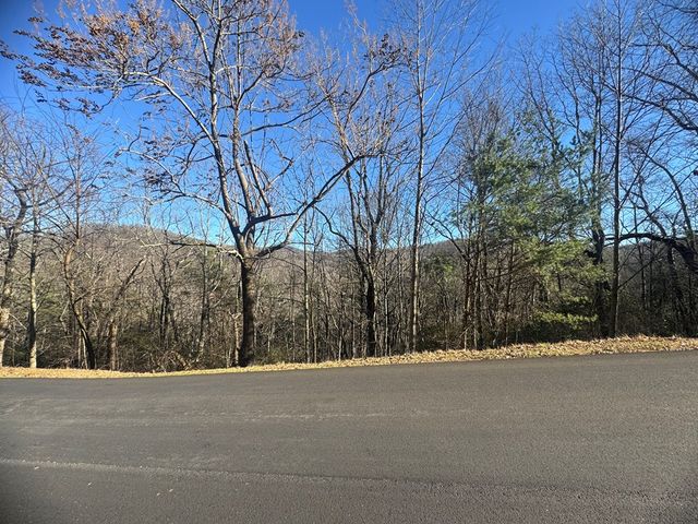 Lot 228 Andes Ridge, Ellijay, GA 30540